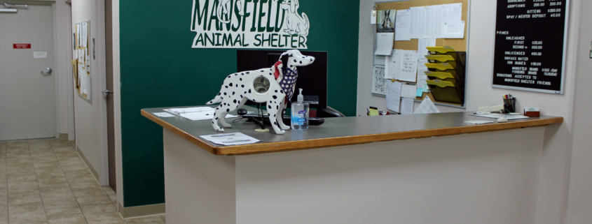 Mansfield Shelter reception